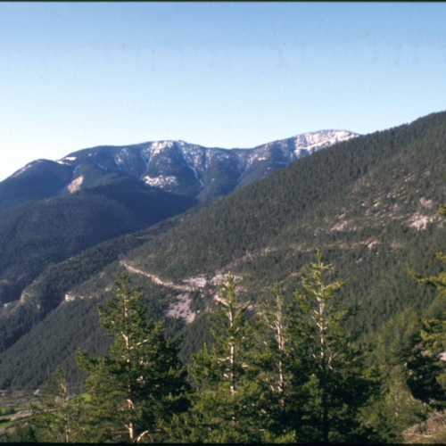 serra del Verd