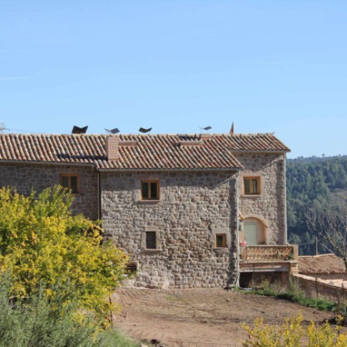 Alzina de Merola 2