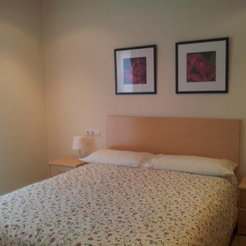 Apartament Berguedà - Habitatge d'ús turístic
