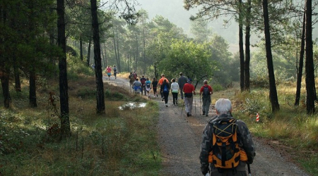 Caminada Popular a l'Ametlla de Merola.