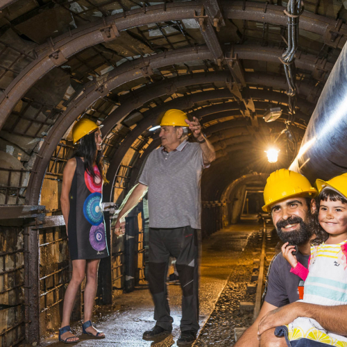 Museu mines cercs