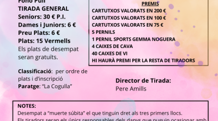 Cartell_A3_Festa_Major_Alegre_Groc.png