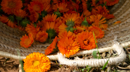 flors