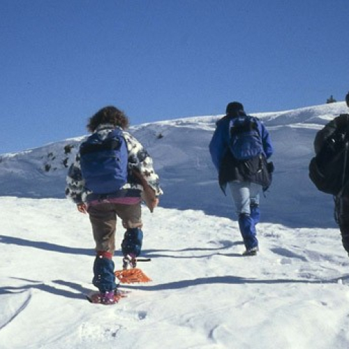 Guies del Pirineu