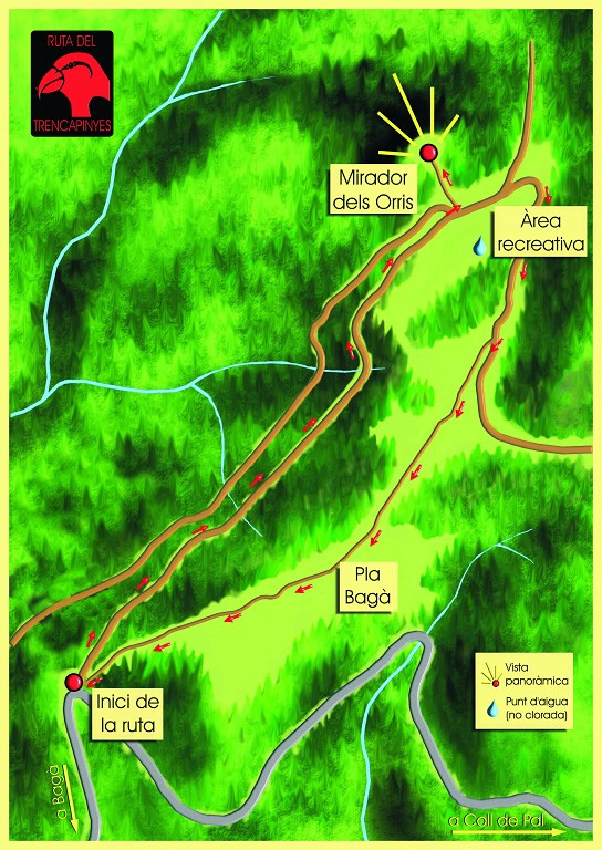 mapa ruta trencapinyes