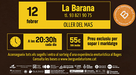 pixels la barana web.jpg